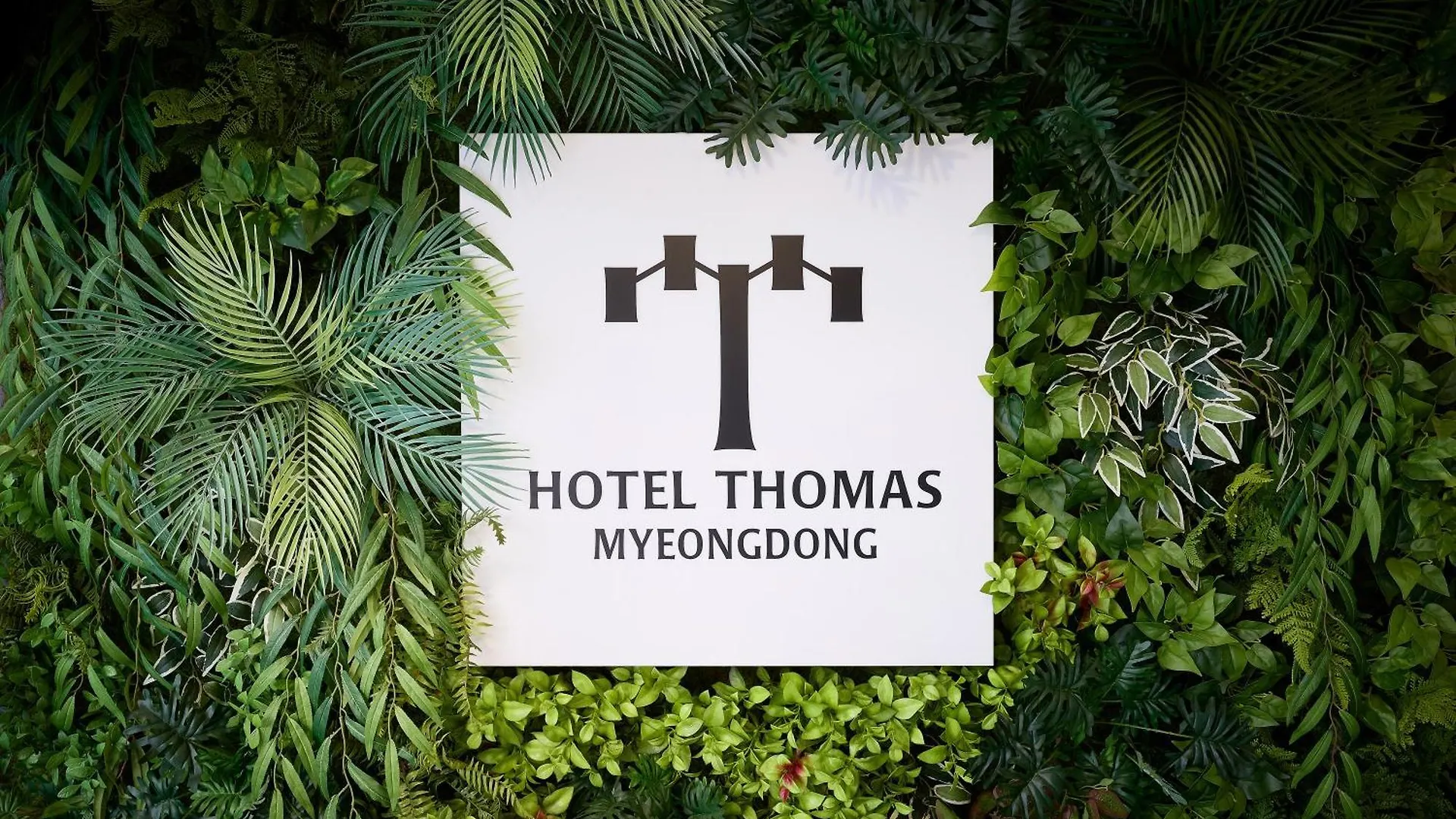 ***  Hotel Thomas Myeongdong Seúl Corea del Sur