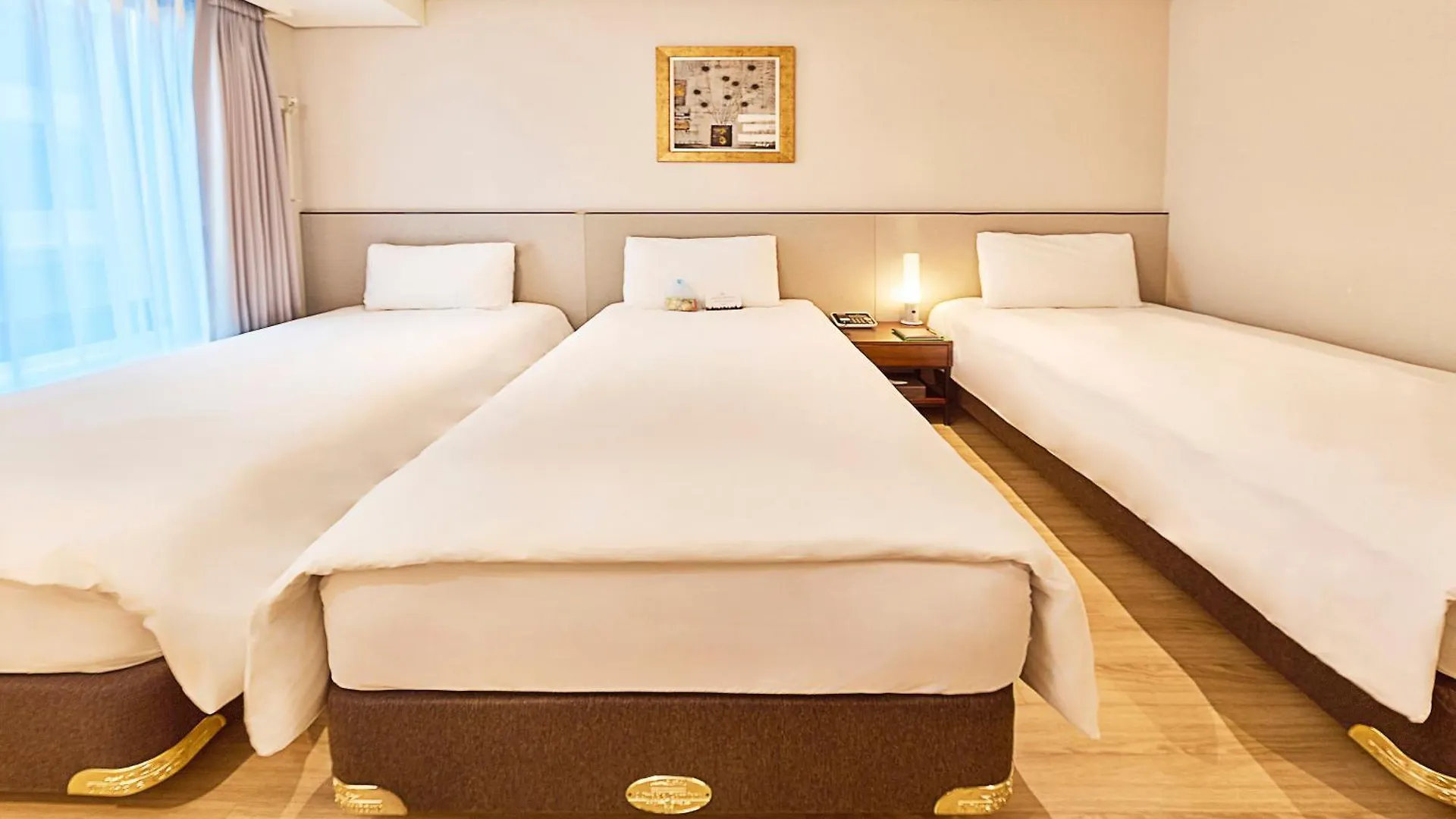 Hotel Thomas Myeongdong Seúl